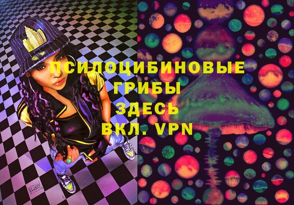 ГАЛЛЮЦИНОГЕННЫЕ ГРИБЫ Новый Уренгой